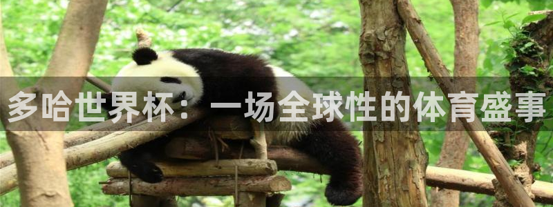 2026世界杯欧洲预选赛赛程表：多哈世界杯：一场全球性的体育盛事