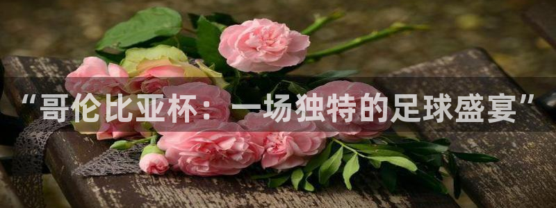 澳门世界杯直播：“哥伦比亚杯：一场独特的足球盛宴”