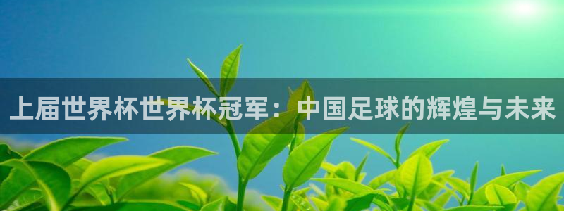 世界杯2026赛制：上届世界杯世界杯冠军：中国足球的辉煌与未来