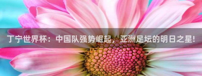 世界杯球队排名：丁宁世界杯：中国队强势崛起，亚洲足坛的明日之星!