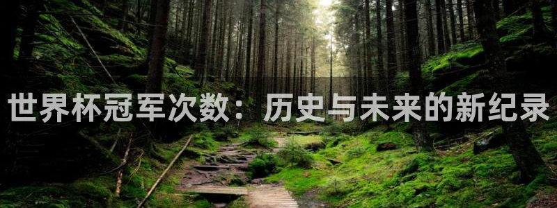 世界杯 2026：世界杯冠军次数：历史与未来的新纪录