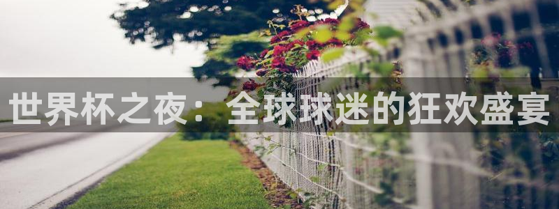 世预赛直播：世界杯之夜：全球球迷的狂欢盛宴