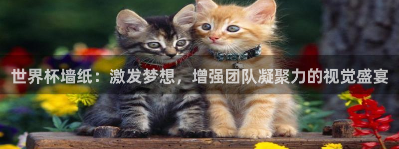2026世界杯中国队：世界杯墙纸：激发梦想，增强团队凝聚力的视觉盛宴