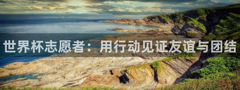 世界杯：世界杯志愿者：用行动见证友谊与团结