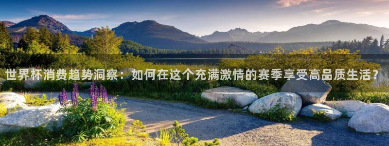 2026年世界杯赛程表时间：世界杯消费趋势洞察：如何在这个充满激情的赛季享受高品质生活？