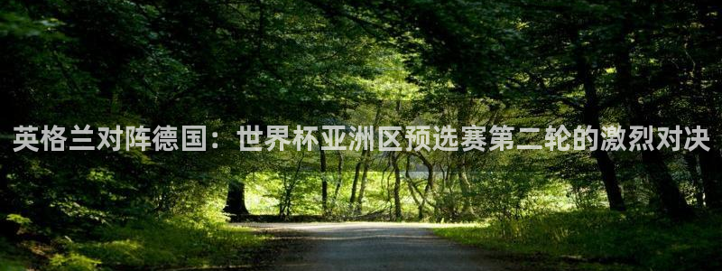 世界杯：英格兰对阵德国：世界杯亚洲区预选赛第二轮的激烈对决
