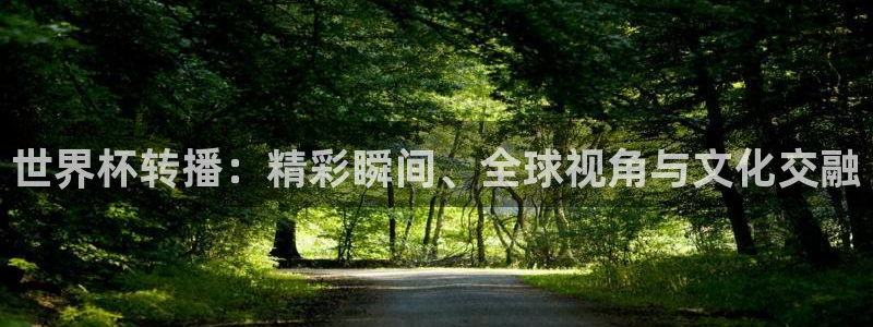 2026足球世界杯赛程：世界杯转播：精彩瞬间、全球视角与文化交融