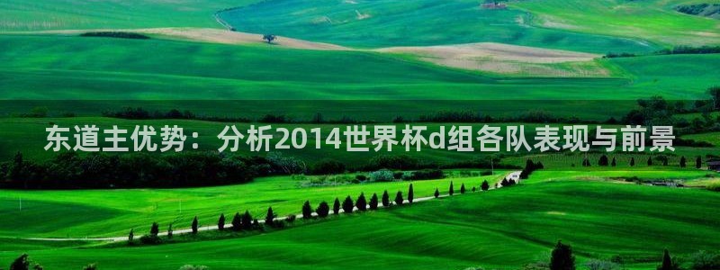 2026年世界杯赛程表时间：东道主优势：分析2014世界杯d组各队表现与前景