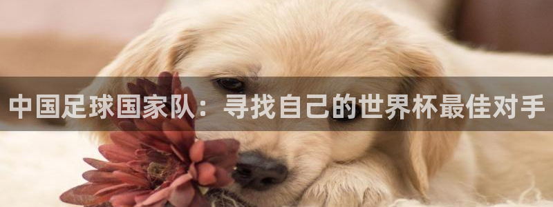 2026世界杯倒计时：中国足球国家队：寻找自己的世界杯最佳对手