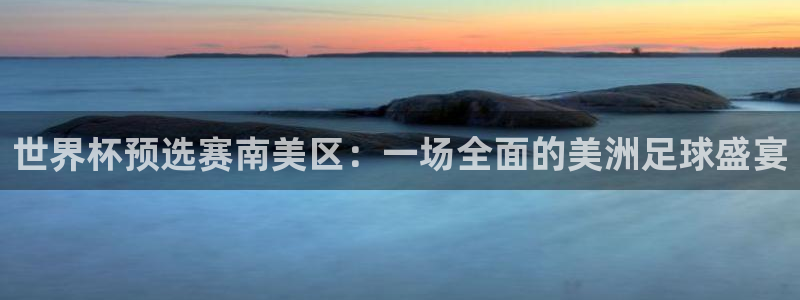 世界杯预选赛赛程：世界杯预选赛南美区：一场全面的美洲足球盛宴