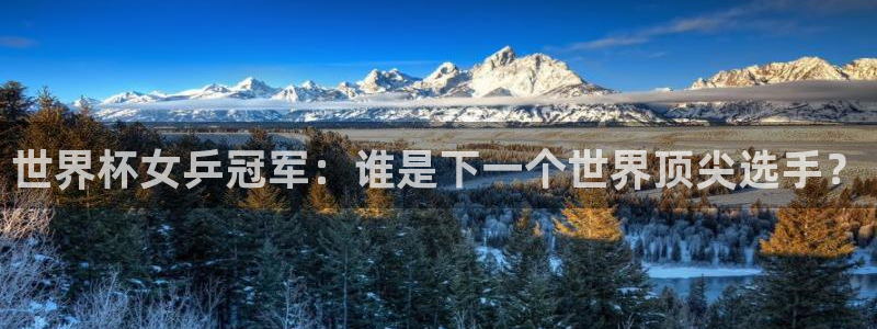 2026世界杯直播免费观看：世界杯女乒冠军：谁是下一个世界顶尖选手？