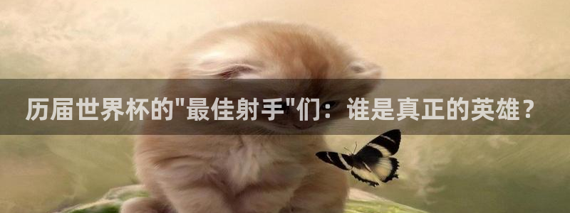 国际足联世界杯：历届世界杯的\