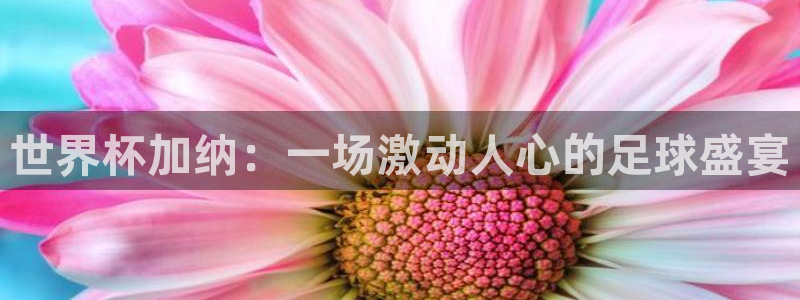 世界杯比赛赛程：世界杯加纳：一场激动人心的足球盛宴