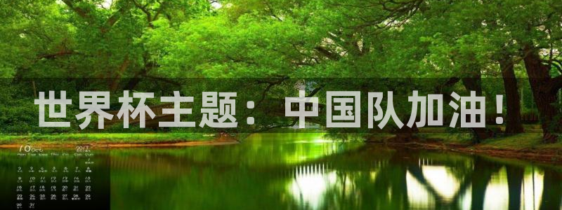 2006世界杯：世界杯主题：中国队加油！